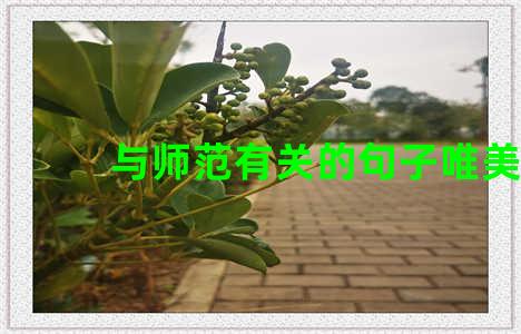 与师范有关的句子唯美