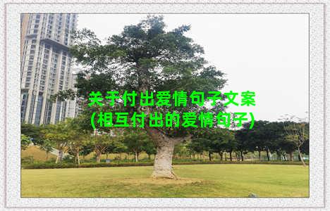 关于付出爱情句子文案(相互付出的爱情句子)