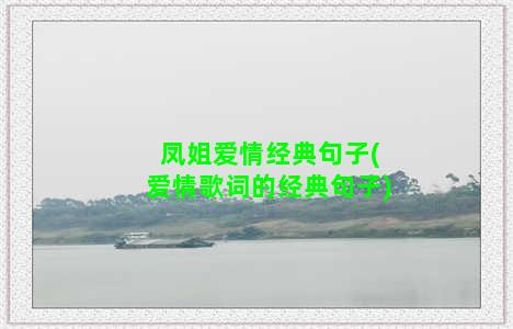 凤姐爱情经典句子(爱情歌词的经典句子)