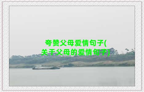 夸赞父母爱情句子(关于父母的爱情句子)