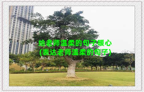 给老师温柔的句子暖心(表达老师温柔的句子)